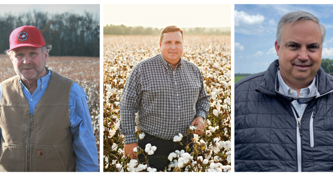 John Ruark reappointed to Ga. Cotton Commission board