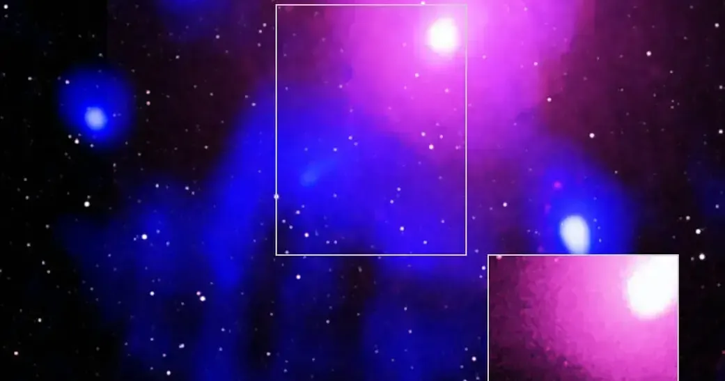 Starry Starry Night: The Serpent Bearer and The Swan