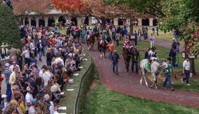 Fall Fun: Social Events | City Guides | topsinlex.com