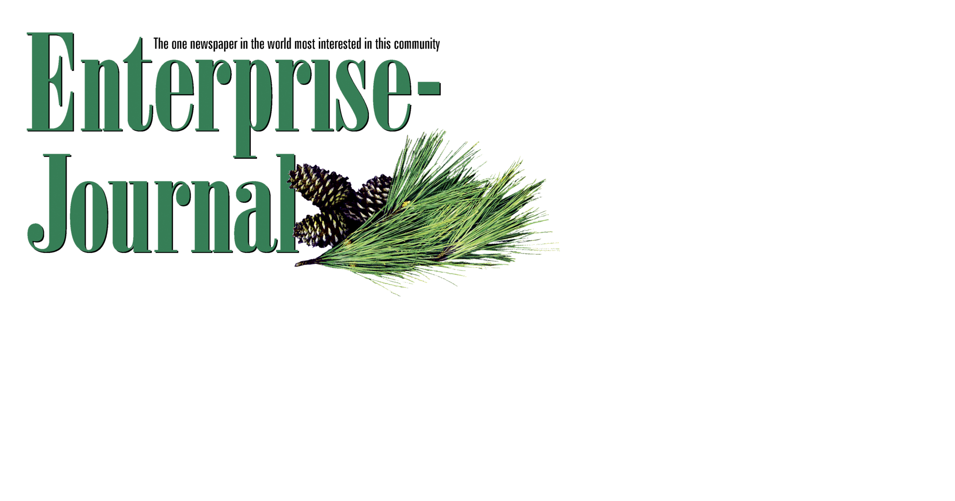EnterpriseJournal Site Launches