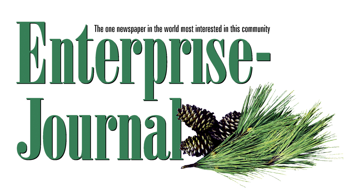 EnterpriseJournal Site Launches