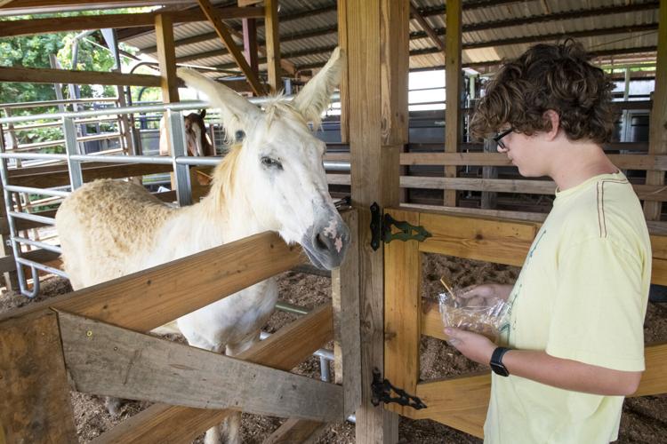 PHOTOS: Bar J Farms is an extended family