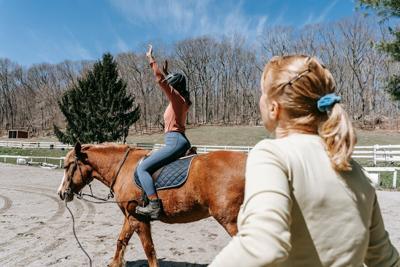 Healing With Horses: Equine Therapy Programs Making a Difference in Our Community