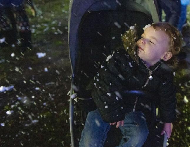 Millbrook Tree Lighting