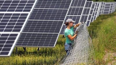 The state of solar: Despite partisan rhetoric, the industry is still booming