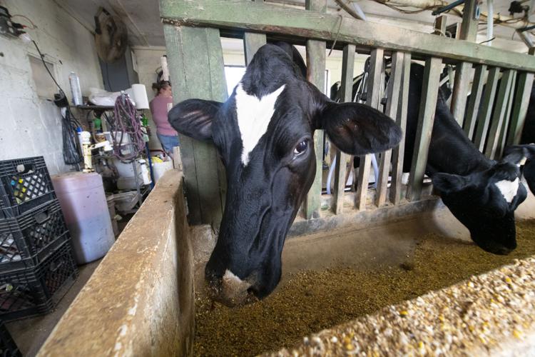 PHOTOS: Storm damage at Blue Ribbon Dairy