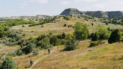 The big beautiful drill act