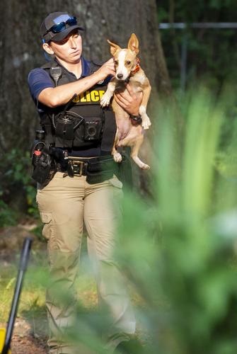 16 cats, 14 dogs, 3 pigs, 1 duck seized in Dadeville animal cruelty case