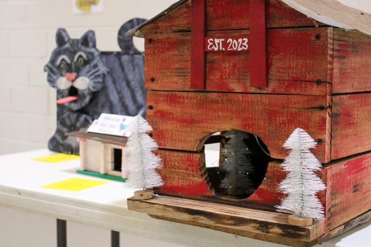 Tallapoosa County 4-H holds county contest