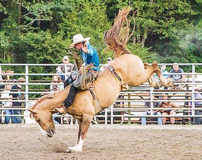 BRHS FFA alumni to host rodeo fundraiser