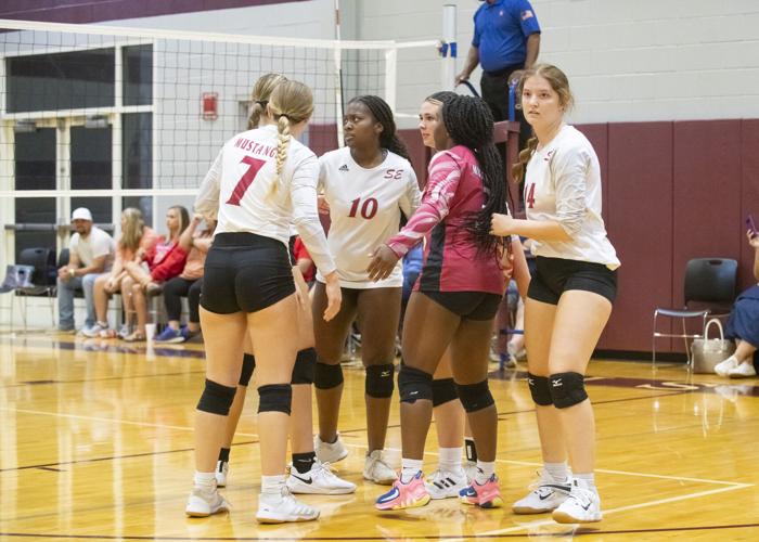 PHOTOS: Elmore County volleyball hosts block party