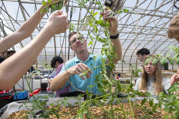 PHOTOS: Growing tilapia and tomatoes at Tallassee High School