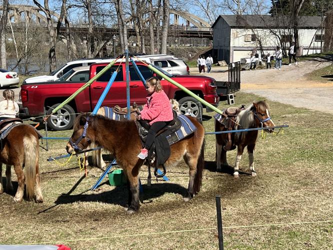 PHOTOS: Order of Cimarron hosts Mardi Gras parade