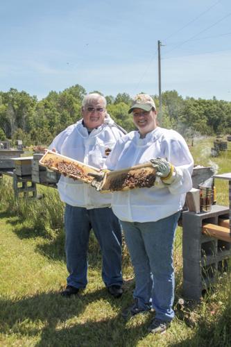 Bee farm buzzing with activity