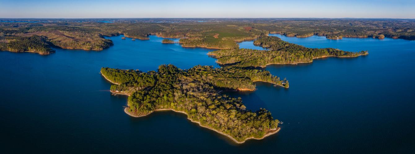 The Benjamin Lake Club