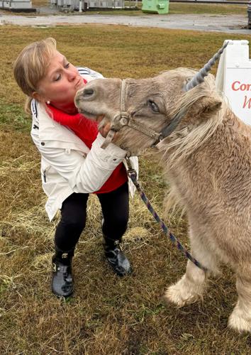 121025 downtown christmas13.jpg