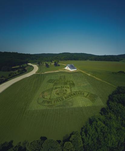 Jim Beam 'Home Field Advantage' by That Lawn Dude
