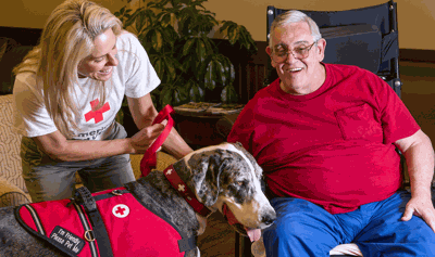 Healing with Man’s Best Friend