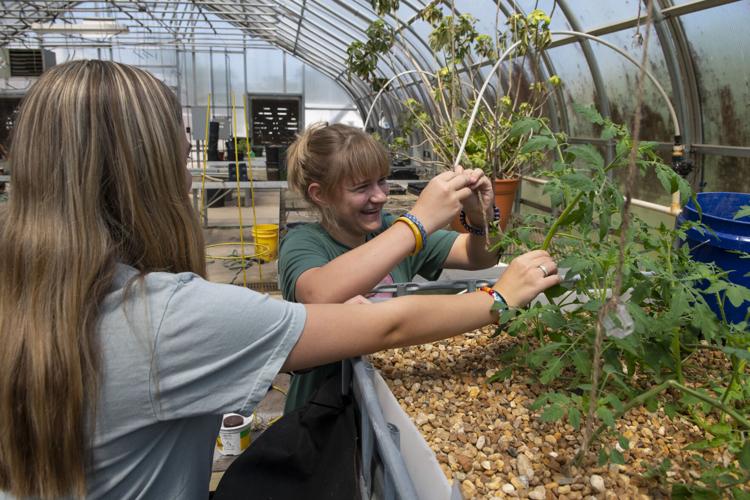 PHOTOS: Growing tilapia and tomatoes at Tallassee High School