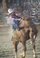 PHOTOS: Wetumpka FFA Alumni Rodeo