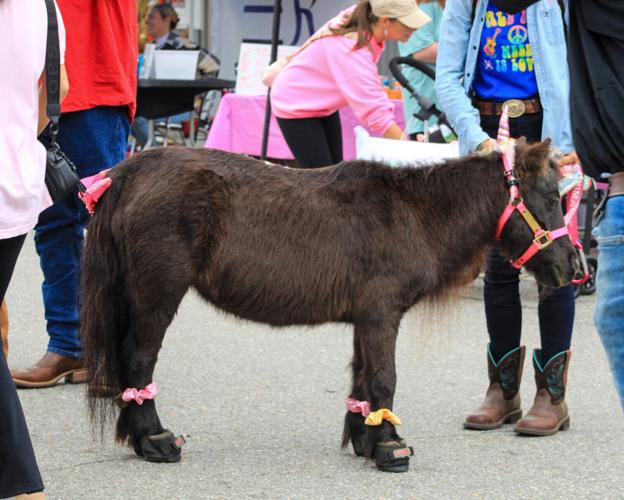 PHOTOS: 2023 Alabama Cotton Festival
