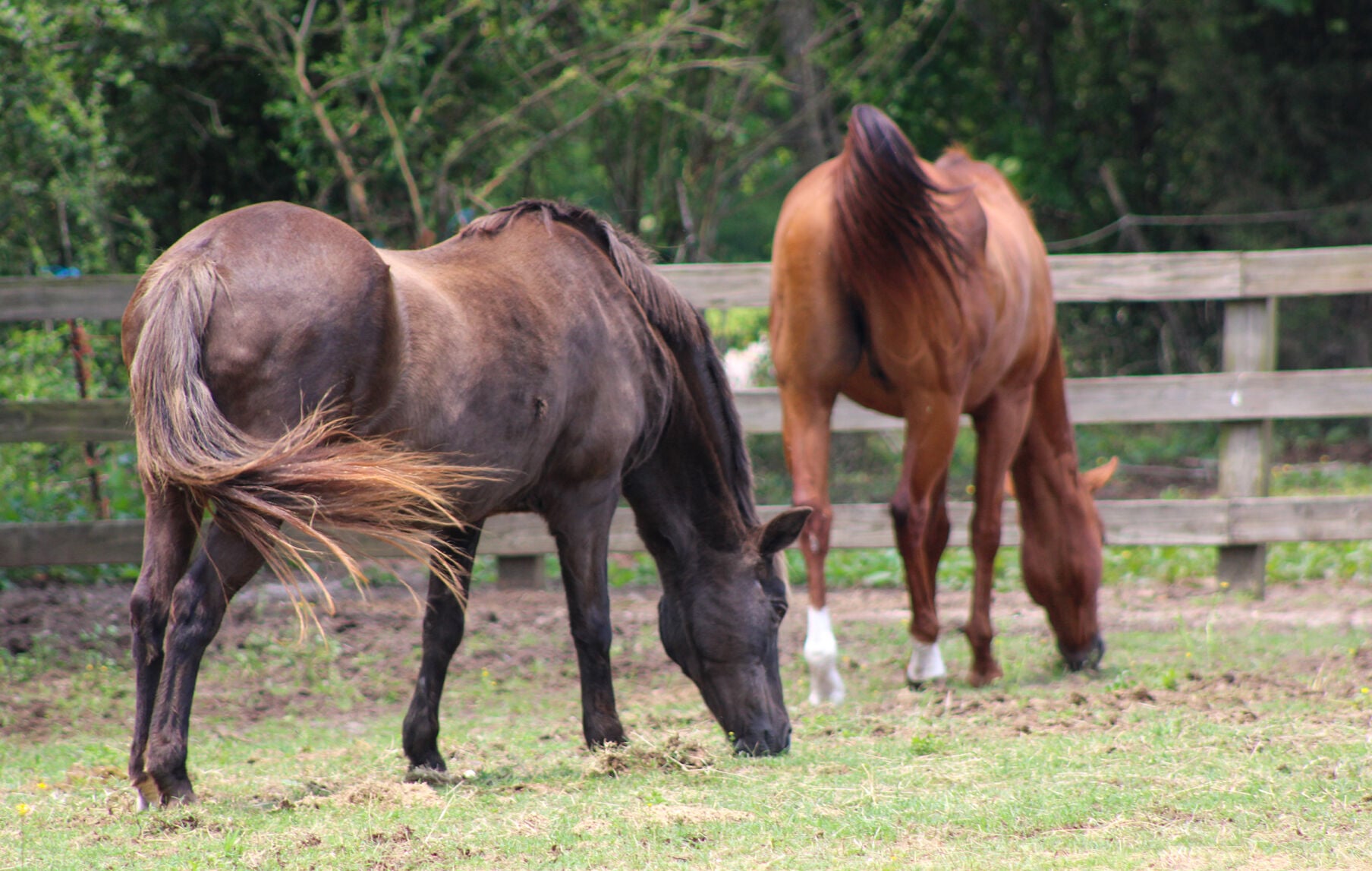 PHOTOS: Living Stones Community local mission trip