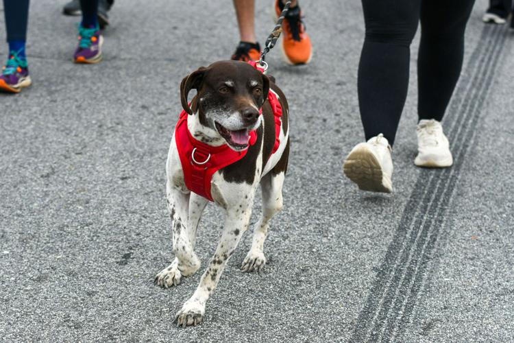 040126-color run 002.jpg