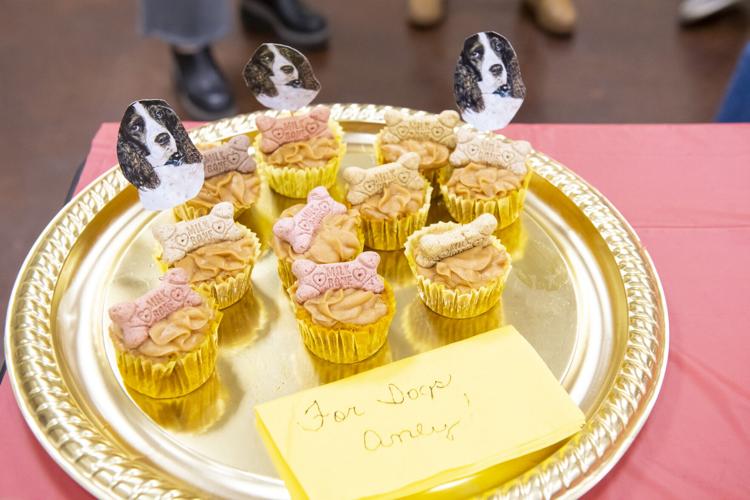 PHOTOS: Popcorn Retires