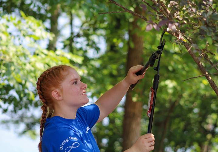PHOTOS: Living Stones Community local mission trip