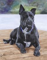 Lake Martin Living Art & Photo Contest