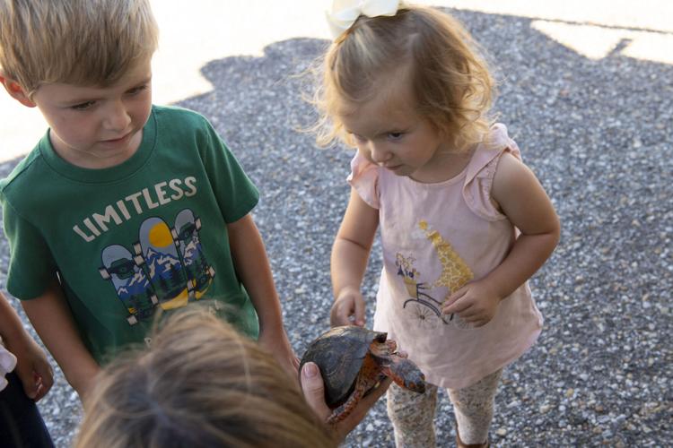 PHOTOS: Wetumpka Wildlife Arts Festival