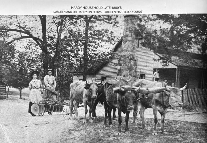 Hardy Household late 1800s.JPG