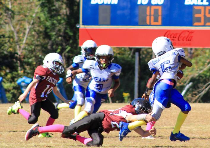 PHOTOS: Camp Hill Bears Homecoming Game
