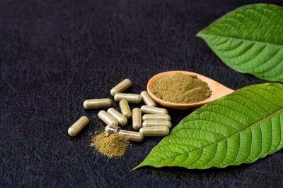 Kratom powder is produced by the plant Mitragyna speciosa.