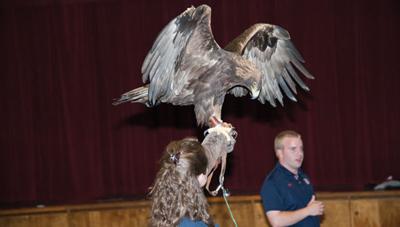 Radney Elementary students learn about birds of prey