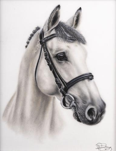 Lake Martin Living Art & Photo Contest