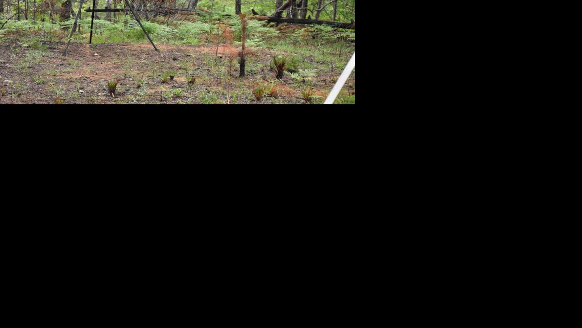 Creek preserve renamed to honor Muscogee people