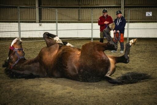 Warrior Equine Chief Instructor Jim Goddard (C) mentors RAF veteran John Lewis (R), who suffered several broken bones in an accident which brought his RAF career to an end