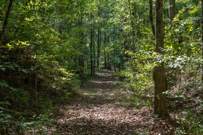 RailroadTrail_3098_20260921.jpg