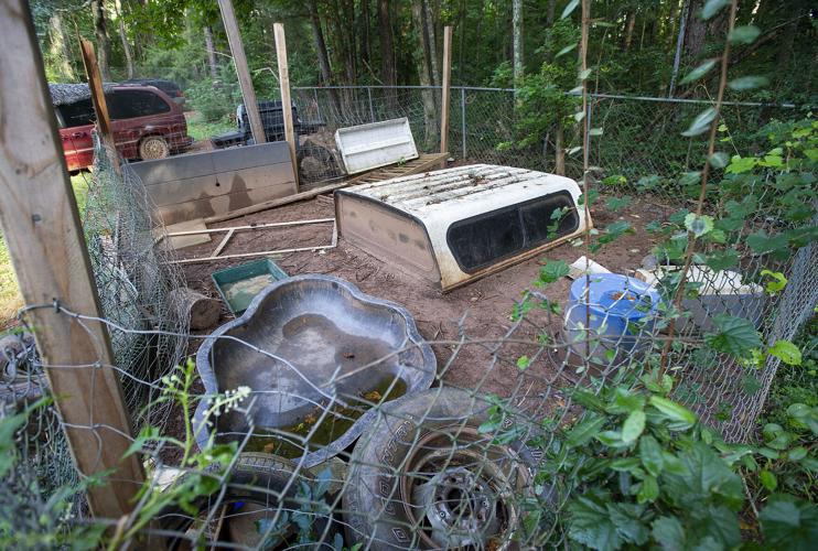 16 cats, 14 dogs, 3 pigs, 1 duck seized in Dadeville animal cruelty case
