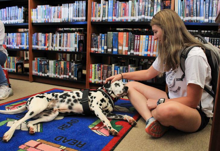 PHOTOS: Therapy dog comes to Dadeville Library