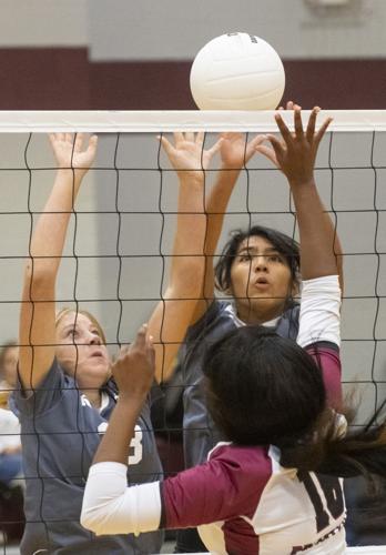 PHOTOS: Elmore County volleyball hosts block party