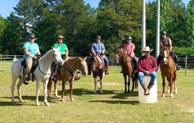 Lessons from Horseback