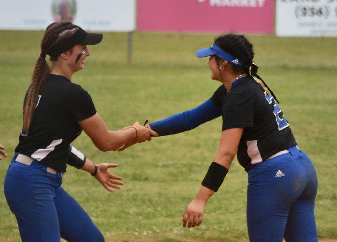 PHOTOS: Area softball tournament at Horseshoe Bend