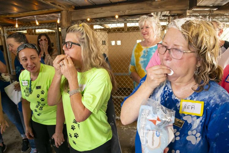 PHOTOS: Jordan's Way helps raise funds for animal shelters