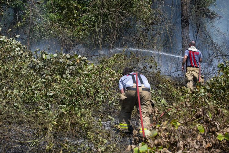PHOTOS: Brush fire between Riverchase Drive and Sturdivant Road