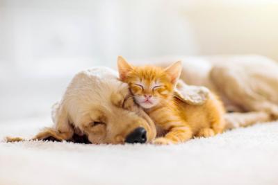 Get some sleep