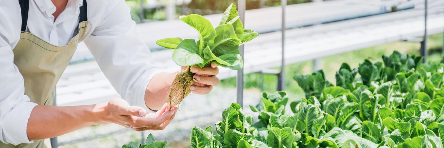 Small Space Gardening