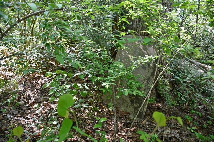 PHOTOS: Dozens of old Youngsville graves lie in the woods of the Russell Mills estate
