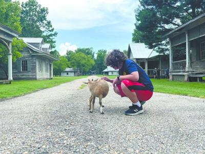 ‘Diggin’ Up Bones’ at Jackson Lake Island